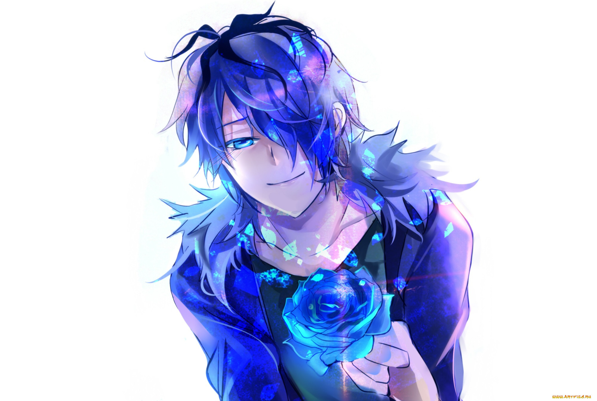 , ib, 